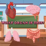 Welk orgaan is dit?